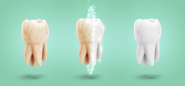 三颗臼齿的向量集合。牙齿清洁、护理和保护图片下载