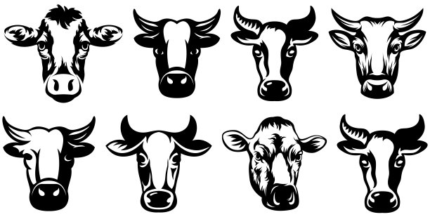 牛头吉祥物变种集。牛的标志。农场动物插图。图片下载
