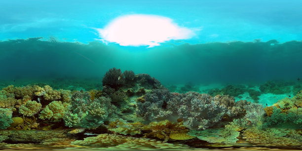 水下的珊瑚礁和热带鱼。菲律宾，360度全景。图片下载