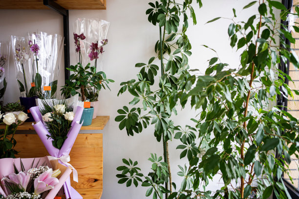 小花店图片下载