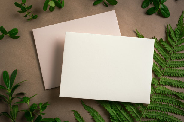 空白卡片和绿色植物图片下载