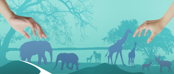 世界野生动物日海报，横幅上有森林里的动物。剪纸风格的蓝色背景。环境，自然，横幅，复制空间，网站-3d渲染图片下载