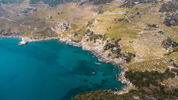 从鸟瞰山腰的绿松石湾和香蕉种植园。图片下载