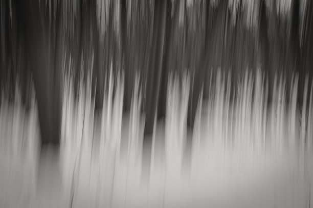 摘要冬季森林的黑白运动背景图片下载