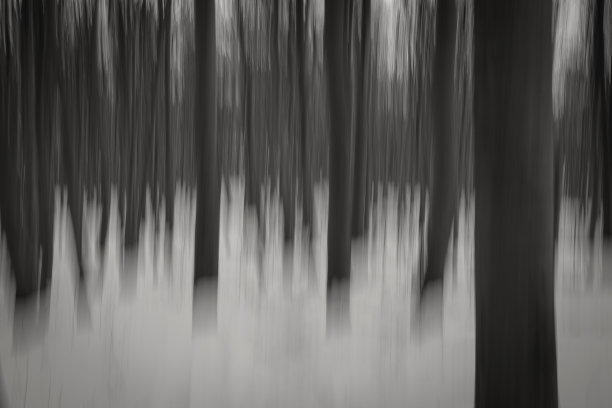 摘要冬季森林的黑白运动背景图片下载