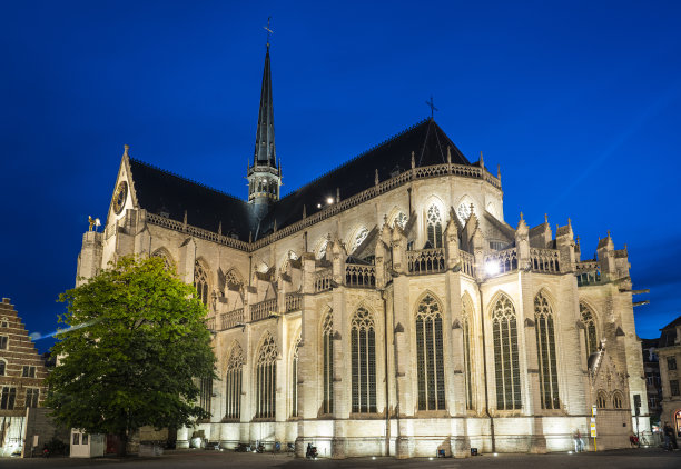 比利时鲁汶的圣彼得教堂图片下载