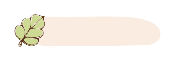 美学波西米亚花卉框架。可爱的粉彩边界卡片设计，婚礼，数字印刷，剪贴簿，教师元素，明信片，海报和更多。图片下载