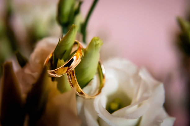 手，结婚戒指和结婚誓言图片下载