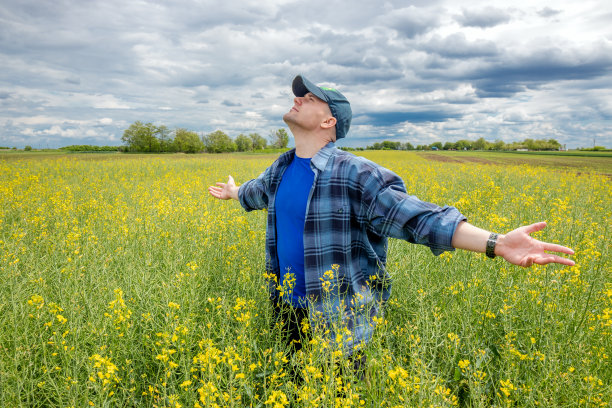 农夫站在油菜籽里望着天空。场图片下载