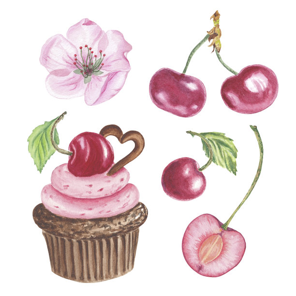 樱桃水果剪纸，浆果与叶，樱桃枝，樱花，蛋糕巧克力，棉花糖，纸杯蛋糕。一套水彩植物插图标签，菜单，标志，邀请或包装设计图片下载