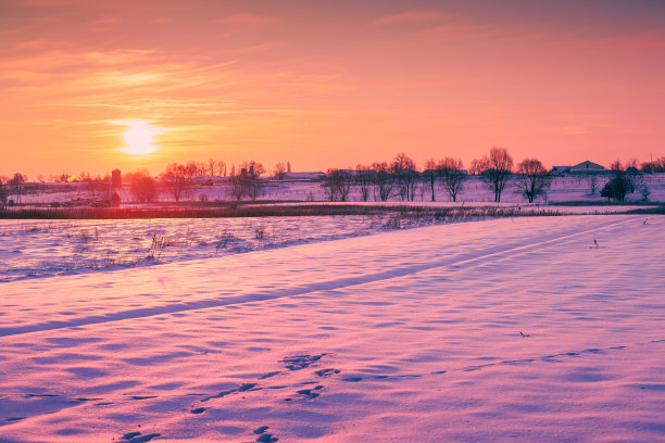 Evening in the winter countryside. Arable field сovered with snow图片下载