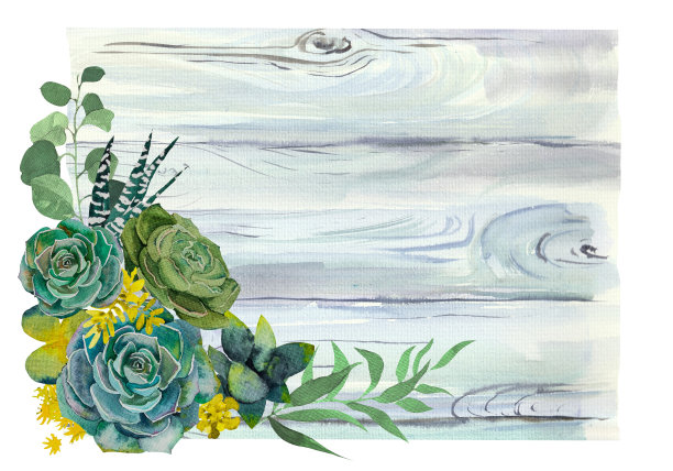 一组时尚的水彩多肉植物。水彩画的多肉植物图片下载