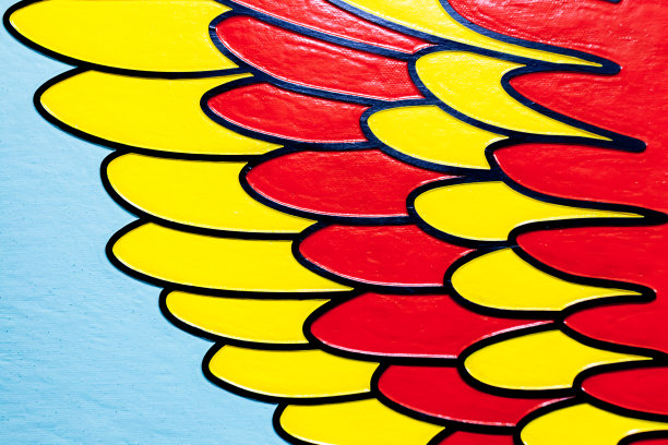 彩色的鸟羽毛图案图片下载