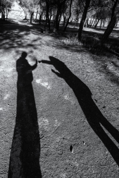 夫妻争吵的影子图片下载