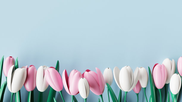 边界从粉红色和白色郁金香花在蓝色的背景。三维渲染图片下载