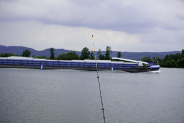 鱼竿和鱼在湖的背景图片下载