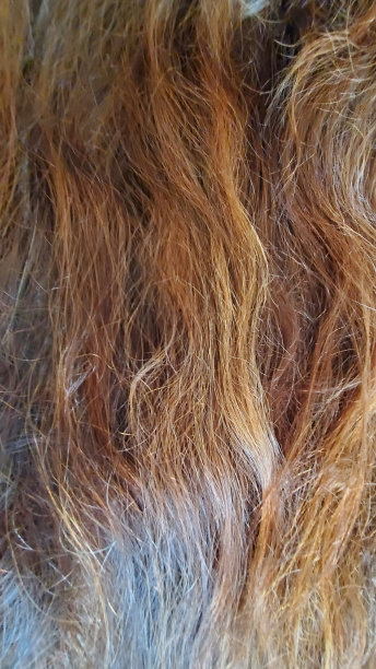 受损的波浪发图片下载