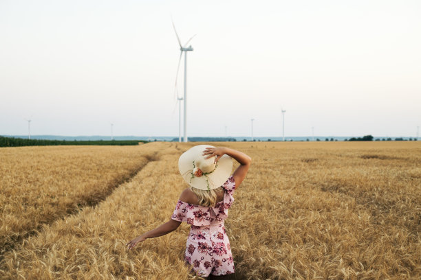 麦田里的年轻女人图片下载
