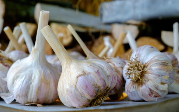 蒜头特写。储存前烘干。聚焦在前景图片下载