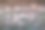 树的棕色外壳的松弛纹理。树纹理的水平照片。放松水果壳的创意质感图片下载