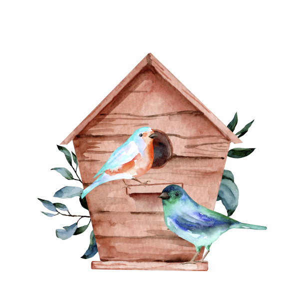 空的木制旧鸟笼。手绘水彩插图与彩色的鸟图片下载