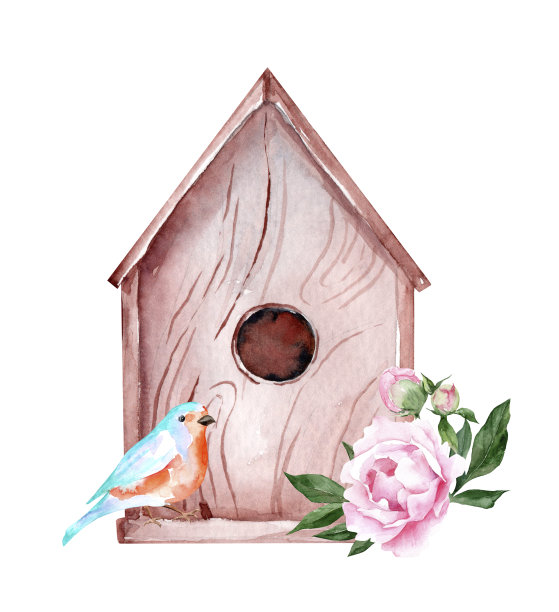 空的木制旧鸟笼。手绘水彩插图与粉红色牡丹花和芽和彩色的鸟图片下载