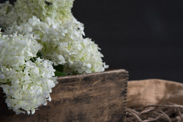 旧木盒和新剪的绣球花。图片下载