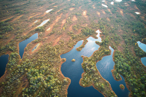 无人机拍摄的沼泽有蜿蜒的溪流，高大的芦苇和草，以及绿色和棕色的湿地图片下载
