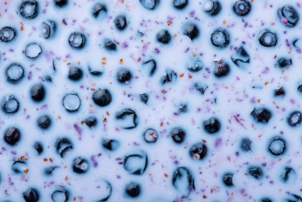 自上而下的牛奶蓝莓照片图片下载