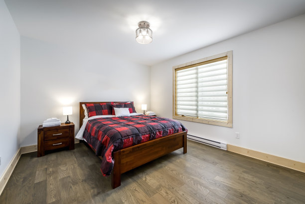 加拿大魁北克偏远地区的冬季小屋，带桑拿浴室，水疗中心，卧室，游泳池，客厅，梅萨宁，厨房和浴室的木屋图片下载