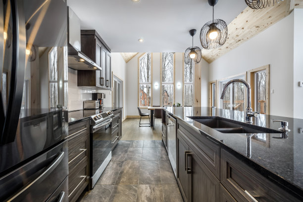 加拿大魁北克偏远地区的冬季小屋，带桑拿浴室，水疗中心，卧室，游泳池，客厅，梅萨宁，厨房和浴室的木屋图片下载