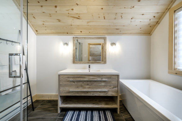 加拿大魁北克偏远地区的冬季小屋，带桑拿浴室，水疗中心，卧室，游泳池，客厅，梅萨宁，厨房和浴室的木屋图片下载