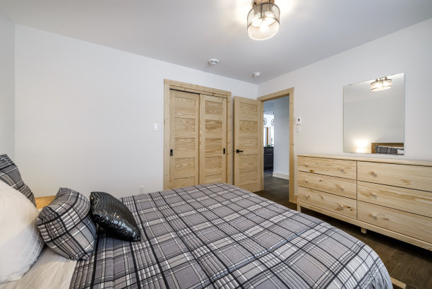 加拿大魁北克偏远地区的冬季小屋，带桑拿浴室，水疗中心，卧室，游泳池，客厅，梅萨宁，厨房和浴室的木屋图片下载