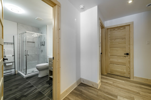 加拿大魁北克偏远地区的冬季小屋，带桑拿浴室，水疗中心，卧室，游泳池，客厅，梅萨宁，厨房和浴室的木屋图片下载