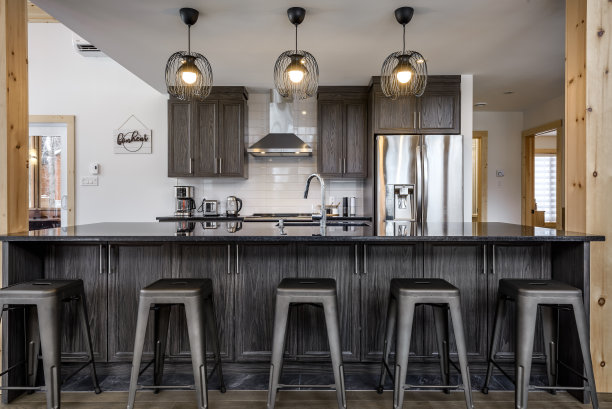 加拿大魁北克偏远地区的冬季小屋，带桑拿浴室，水疗中心，卧室，游泳池，客厅，梅萨宁，厨房和浴室的木屋图片下载