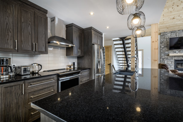 加拿大魁北克偏远地区的冬季小屋，带桑拿浴室，水疗中心，卧室，游泳池，客厅，梅萨宁，厨房和浴室的木屋图片下载