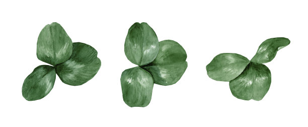 圣帕特里克节的三叶草套装图片下载