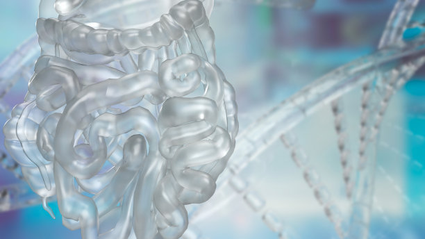 科学背景上的脏器三维渲染图片下载