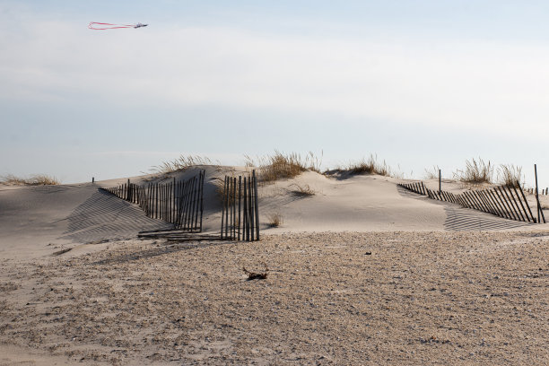 长岛沙滩沙丘与围栏和风筝头顶图片下载