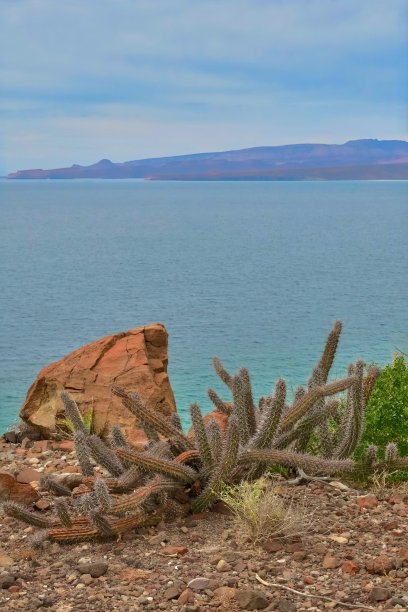 原始的荒野海岸图片下载