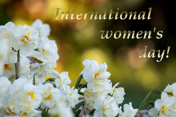 3月8日白色水仙为妇女节旗帜图片下载
