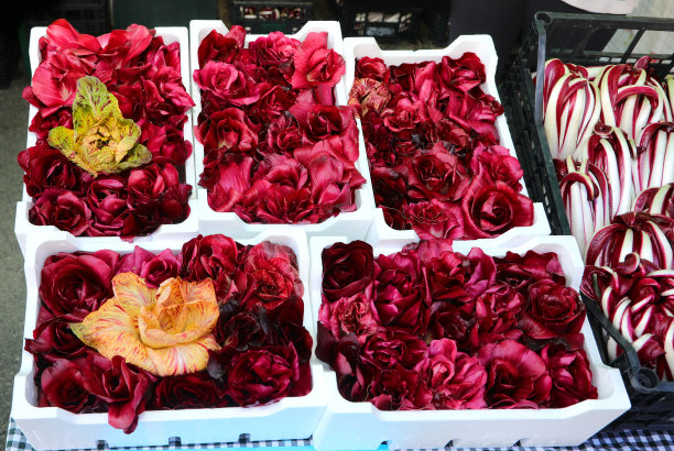 冬天蔬菜市场上成箱成箱的红菊苣图片下载