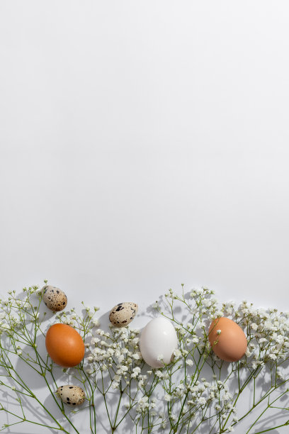 优雅的复活节贺卡模型，边界与鲜花和自然色鸡蛋在浅中性的背景，极简的春季设计，复制空间图片下载