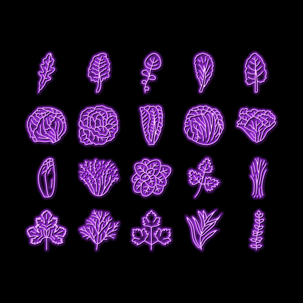 沙拉食品健康绿色新鲜霓虹灯发光图标插图图片下载