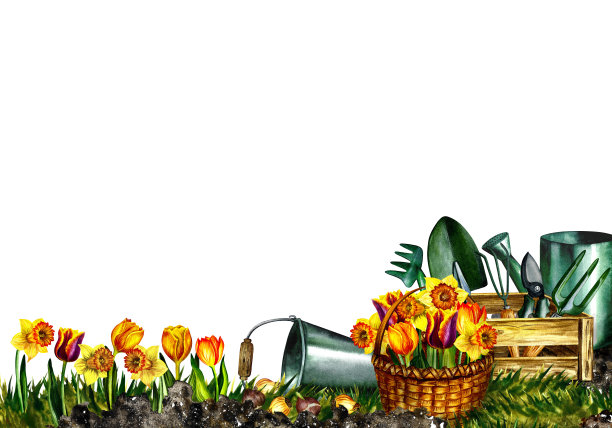 有园艺工具和春天花朵的横幅。手水彩。用于横幅、包装和标签。贺卡图片下载