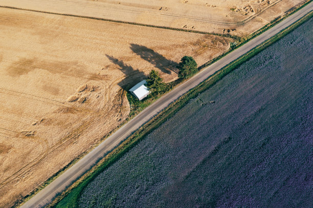 鸟瞰芬兰的乡村道路和紫罗兰田野。图片下载