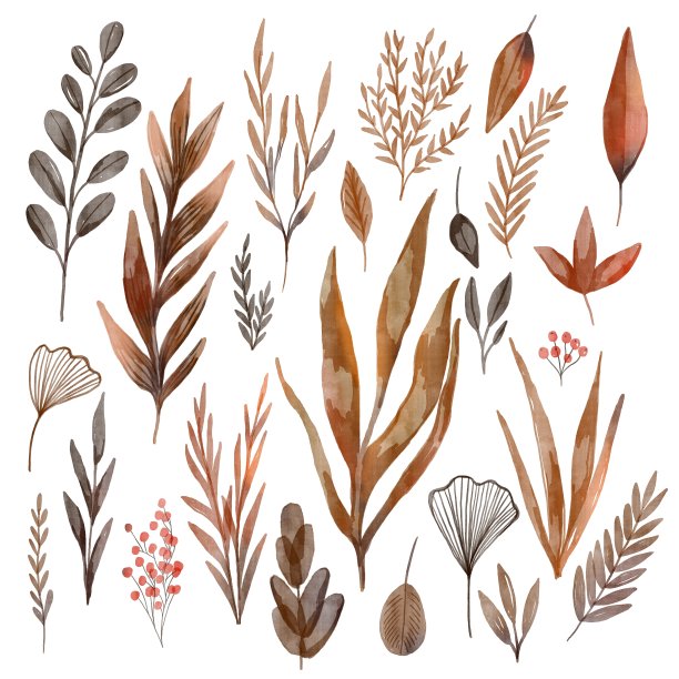 水彩集干叶，树枝图片下载