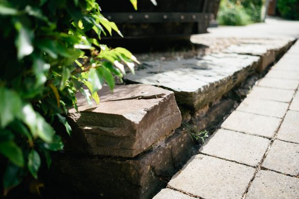 一只小壁虎躺在一块石头上晒太阳。蜥蜴、蝾螈和小壁虎都是两栖动物图片下载