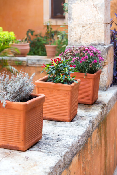 花园里的陶罐里放着鲜花图片下载