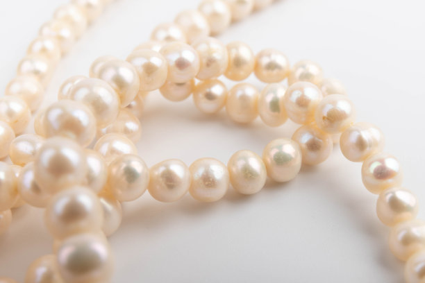 白底珍珠。女性项链首饰。图片下载